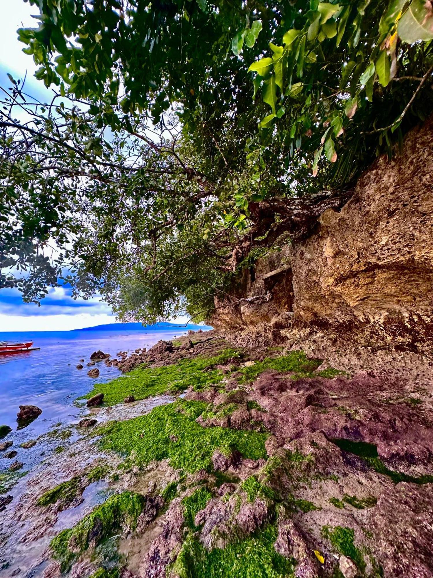 Sapphire Boutique Resort بنغلاو المظهر الخارجي الصورة